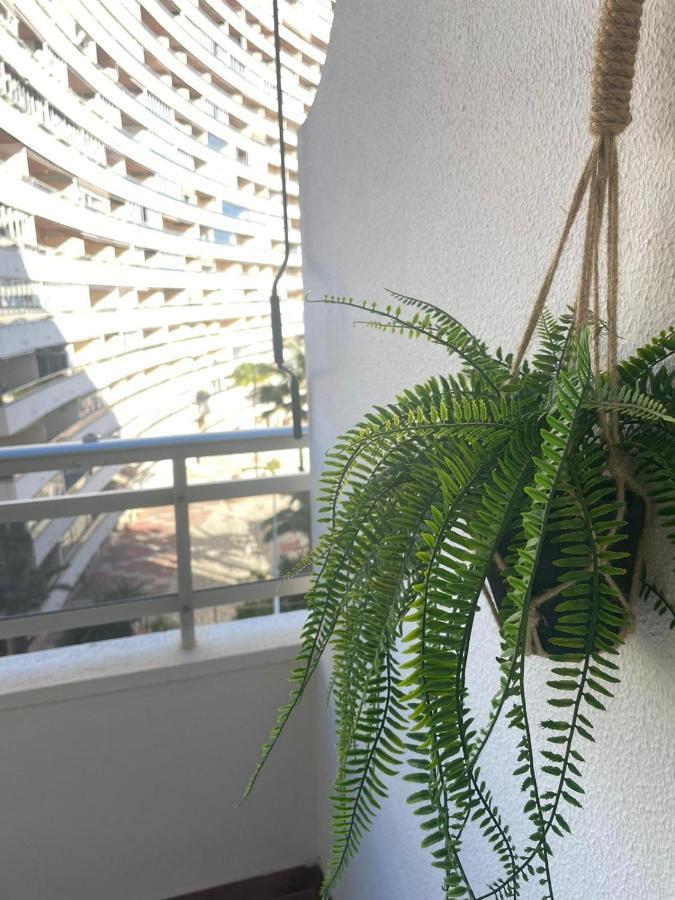 Vive El Mediterraneo - Apartamento Con Piscina En Cullera Kültér fotó